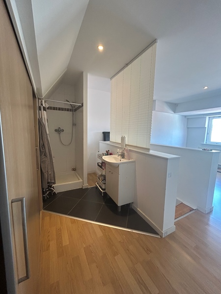 Studio + private bathroom for rent - 5