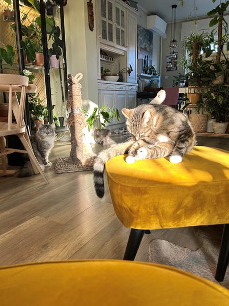 Downstairs room with shared kitchen bzdkamet - 3