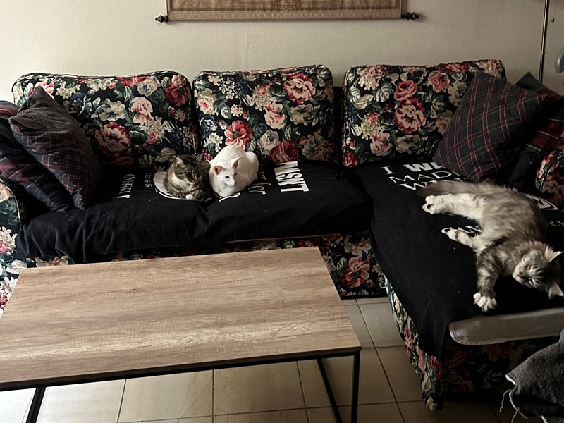 Downstairs room with shared kitchen bzdkamet - 4