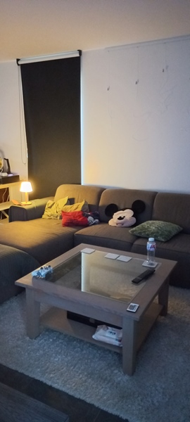 New roommate wanted after departure of old roommate - 2