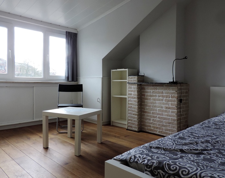 Small-scale starting cohousing is looking for participants, preferably 45+ - 4