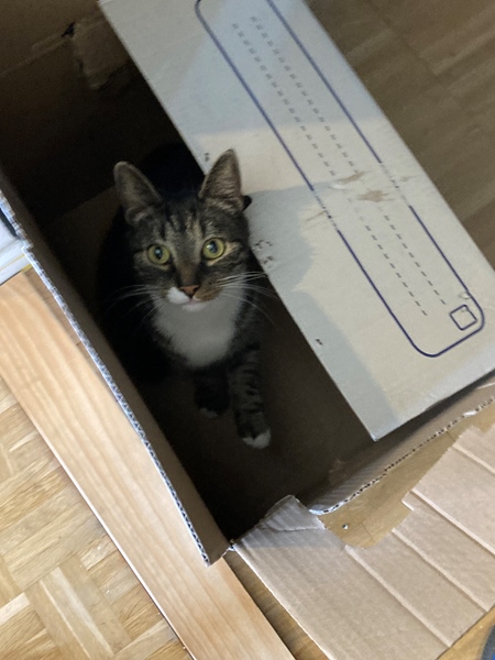 Room with private bathroom temporarily available (Oct Nov) - 5