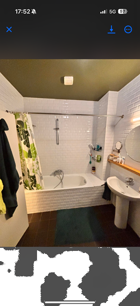 Cozy cohouse looking for third resident - 5