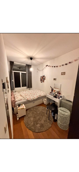 Cozy cohouse looking for third resident - 3