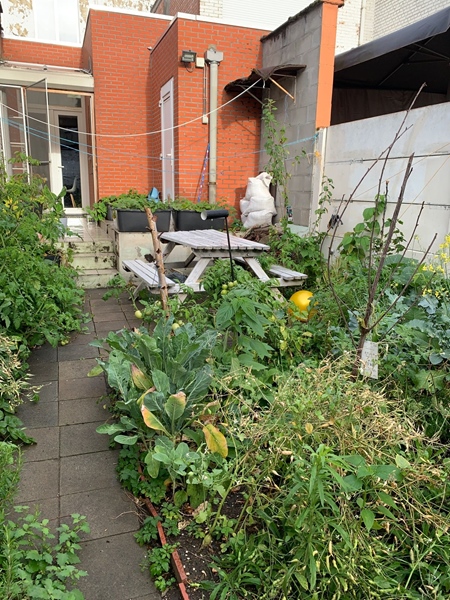 Private room for rent. Domicile / Registration ok - 4