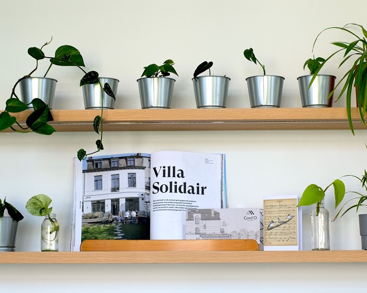 committed couple for warm cohousing project (from April 1) - 3