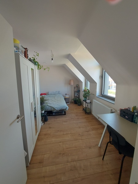 BAARDEGEM - Looking for a roommate (m/f/x) - 3