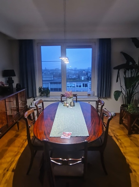 King Oscar 🐈 and Katrijn are looking for a nice co-houser - 4