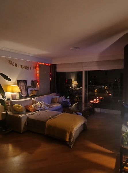 King Oscar 🐈 and Katrijn are looking for a nice co-houser - 2