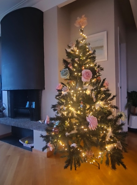 King Oscar 🐈 and Katrijn are looking for a nice co-houser - 3