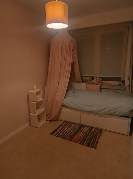 King Oscar 🐈 and Katrijn are looking for a nice co-houser - 5