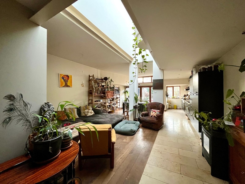 Appelmansion is looking for a cool roommate - 5