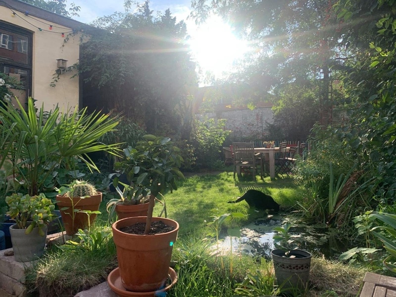 Appelmansion is looking for a cool roommate - 3