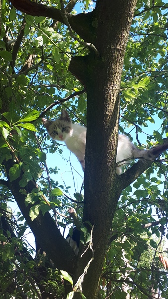Room with balcony - 5