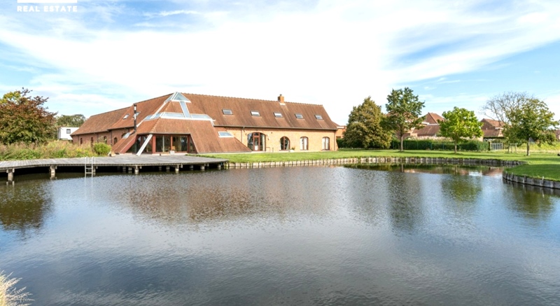 Vegan co-housers wanted - 2