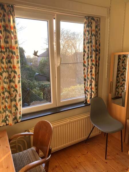 Beautiful bright room for rent in a quiet green street. - 4