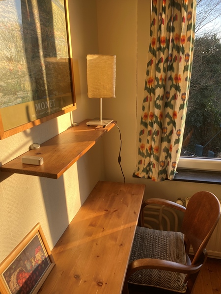 Beautiful bright room for rent in a quiet green street. - 3