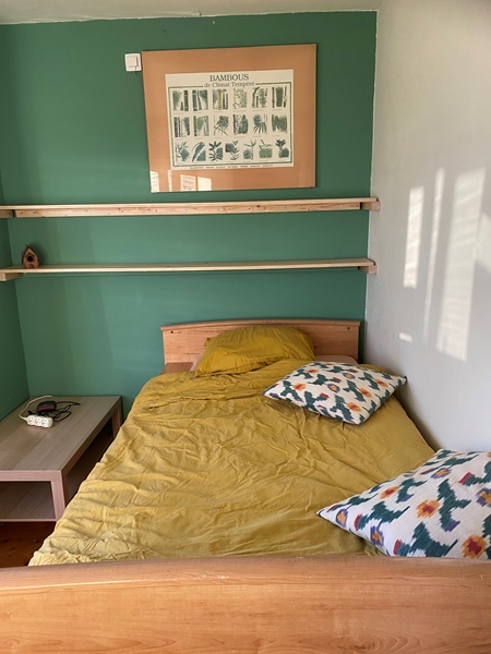 Beautiful bright room for rent in a quiet green street. - 5