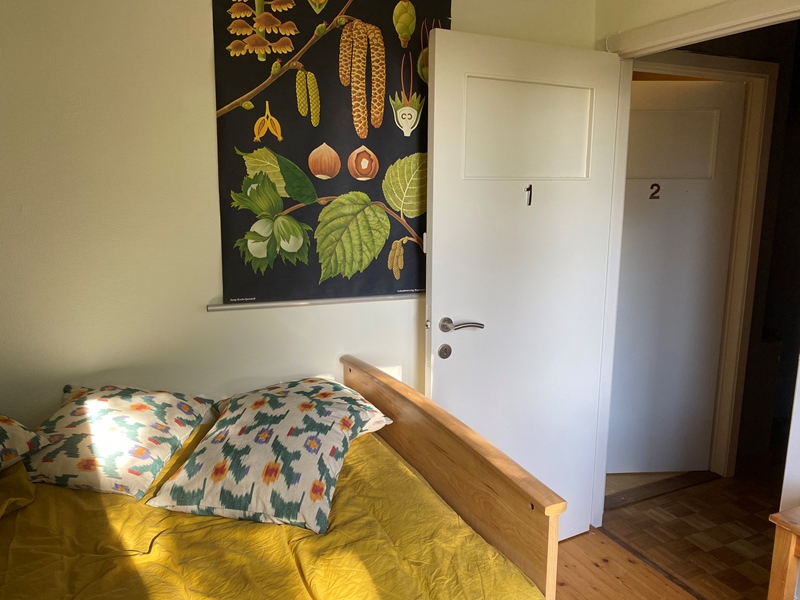 Beautiful bright room for rent in a quiet green street. - 2