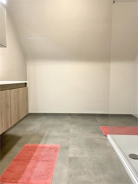 co-houser wanted - 4