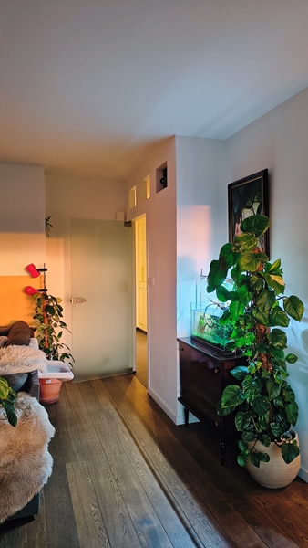 Co-houser wanted in a green area in Genk - 2