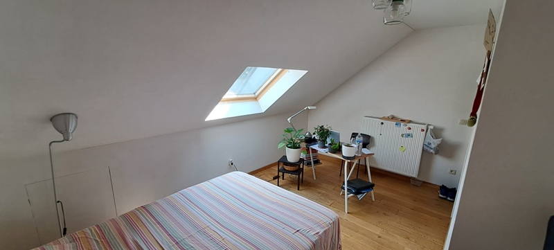 Nice house next to nature park Bourgoyen in Ghent - 5