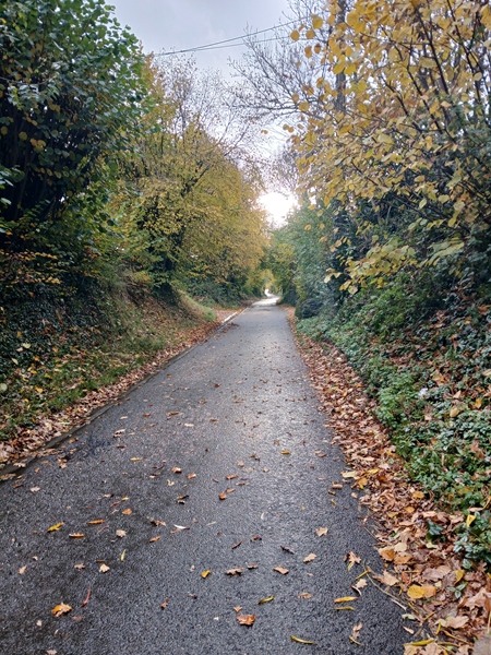 Shared accommodation for students - 5