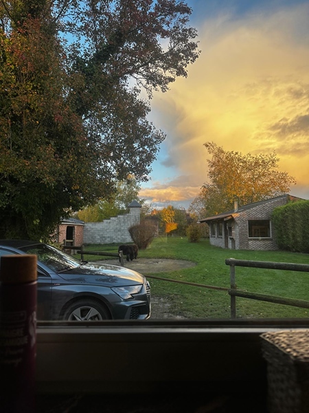 Cozy co-housing in the green - 5