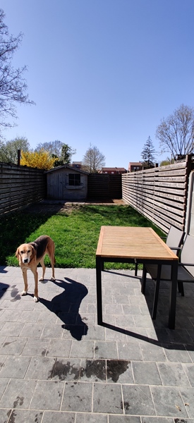 Looking for 1 cohouser - 2