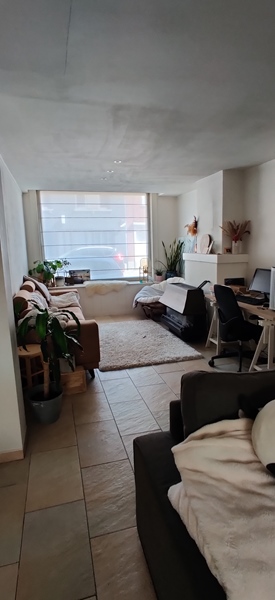 Looking for 1 cohouser - 4