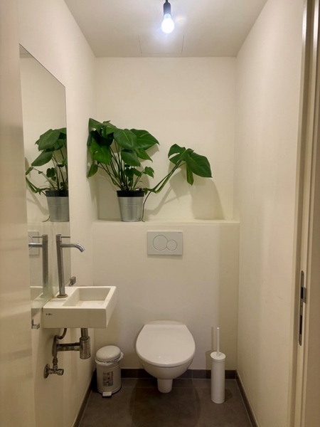 A modern apartment is looking for a female housemate - 4