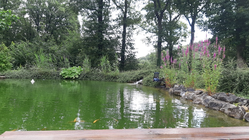 Cohousing & help wanted – Live along in a unique domain - 5