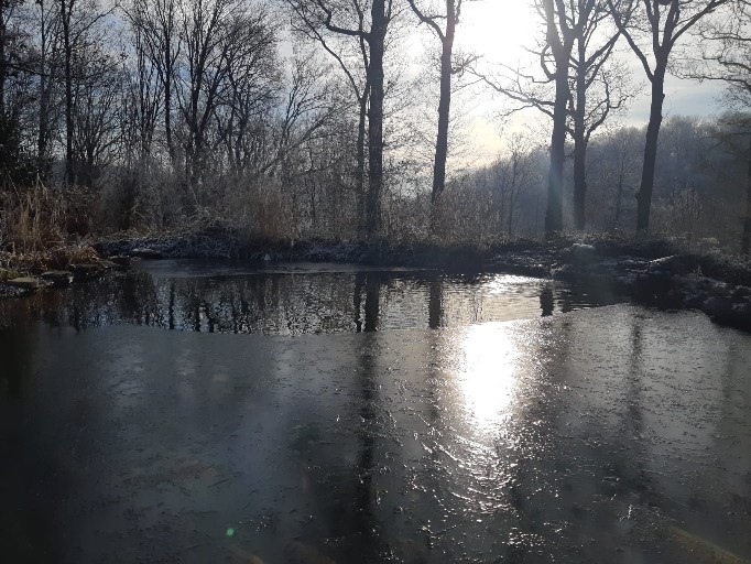 Cohousing & help wanted – Live along in a unique domain - 2