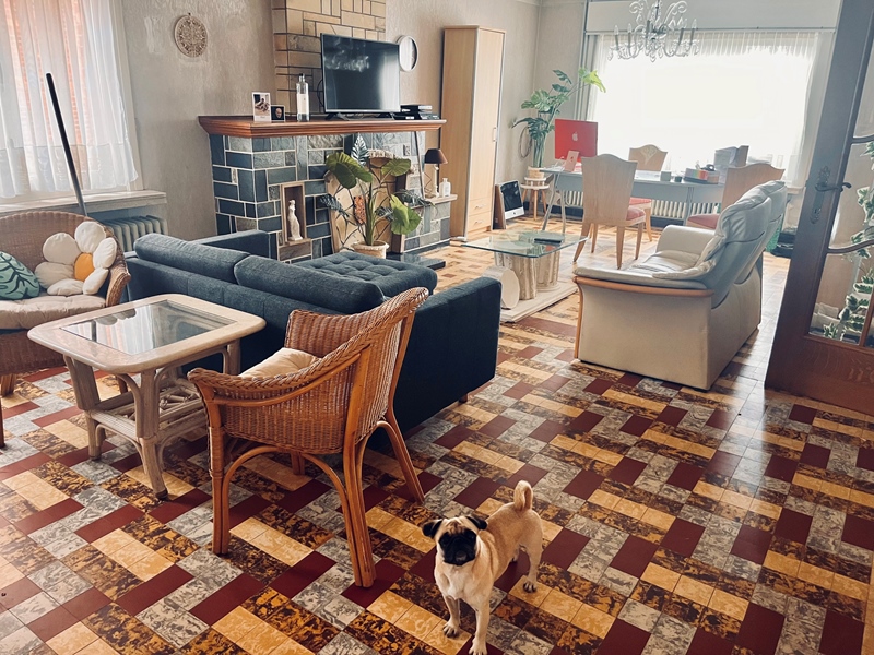 Large house with an even larger garden - 2