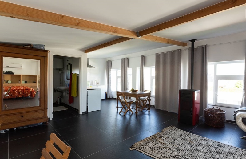 loft in green surroundings - 3