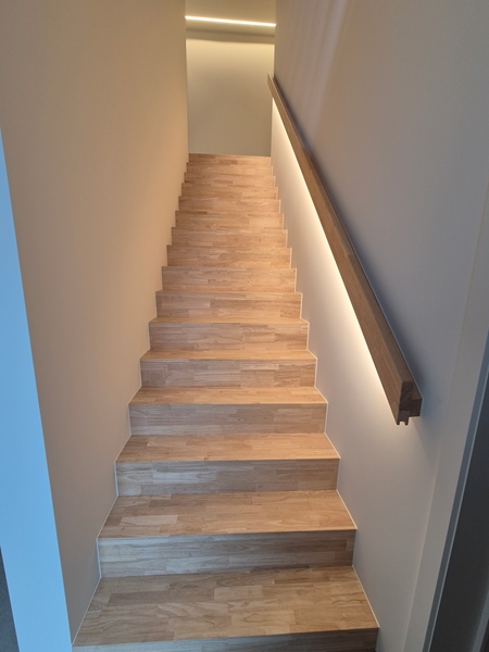 Beautiful spacious house with garden and garage - 4