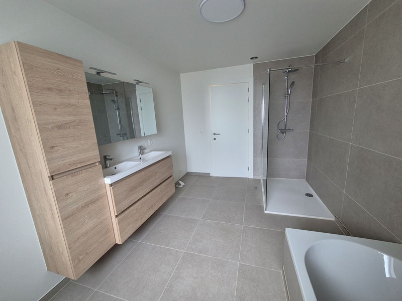 Beautiful spacious house with garden and garage - 3