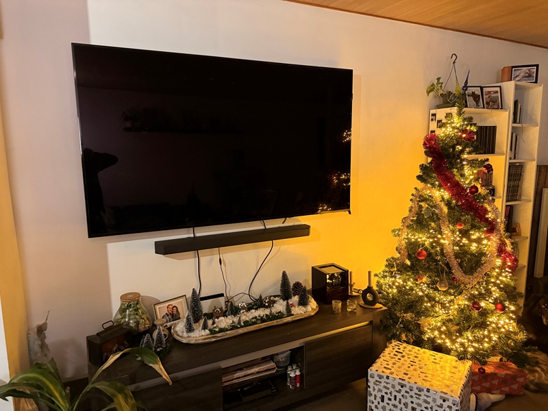 My girlfriend and I are looking for a roommate - 5