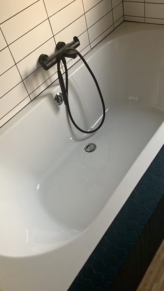 Large house looking for extra resident - 5