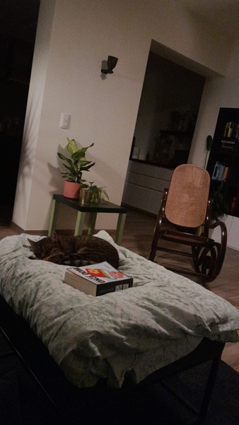 Large house looking for extra resident - 3