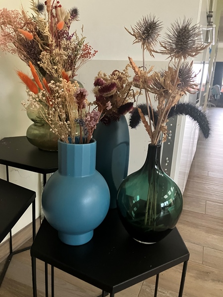 Large house looking for extra resident - 4