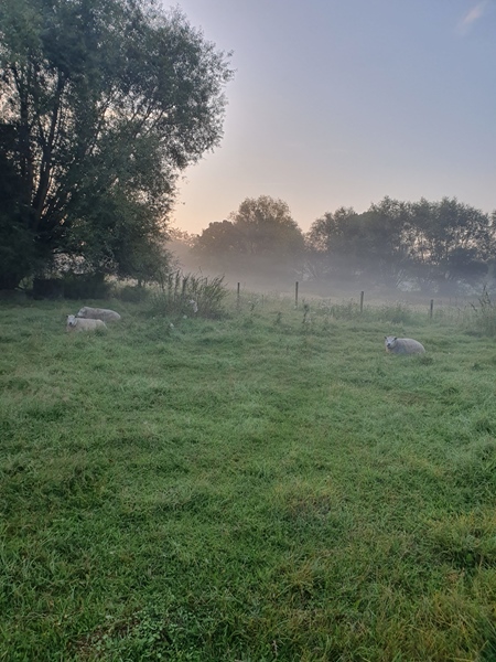 Furnished, bright, spacious and quiet single apartment. - 2