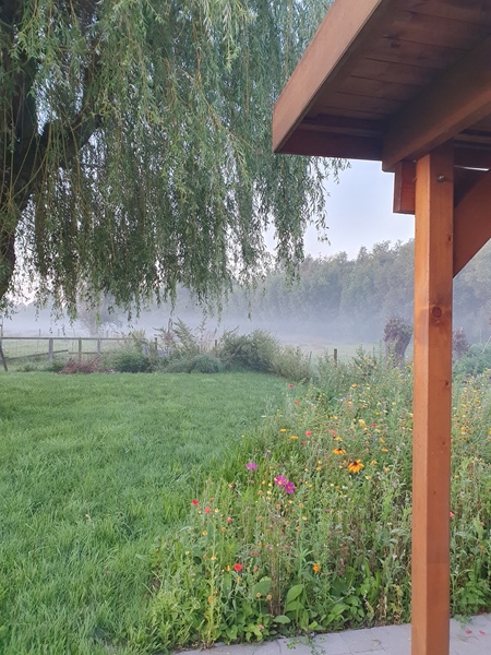 Furnished, bright, spacious and quiet single apartment. - 3