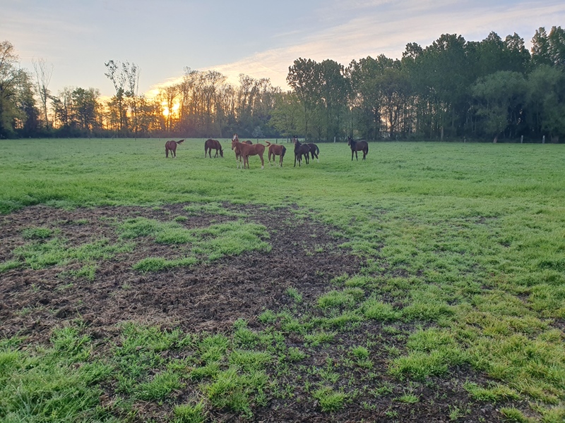 Furnished, bright, spacious and quiet single apartment. - 5