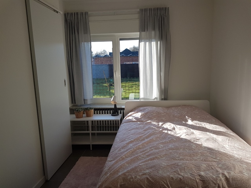 Furnished and quiet single apartment - 3