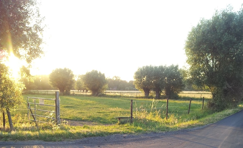 Furnished and quiet single apartment - 2