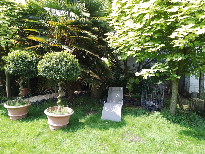 Detached house with garden - 4