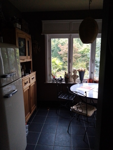 Detached house with garden - 2