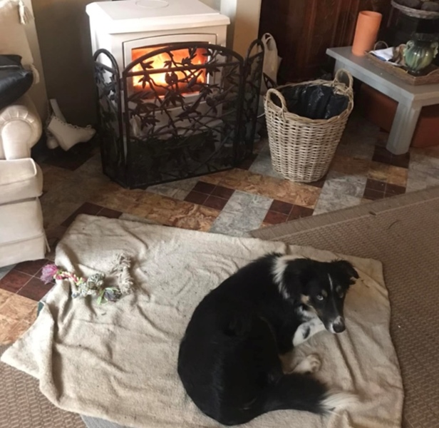 Rural "inn" cottage with large garden looking for 2 additional residents - 2