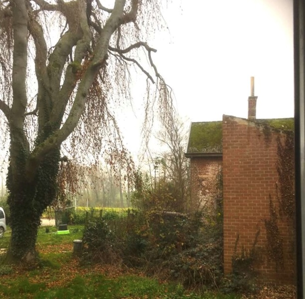 Rural "inn" cottage with large garden looking for 2 additional residents - 5